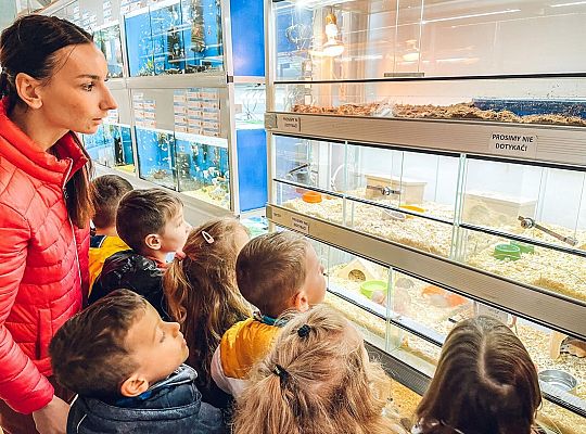 Wizyta w sklepie zoologicznym i w Bibliotece Miejskiej