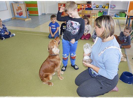 Dzien Zwierząt