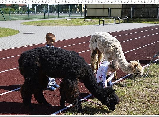 Lato w przedszkolu