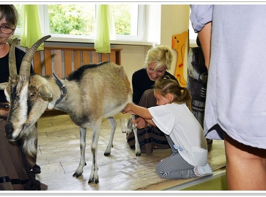Przedszkolna przygoda sie zaczęła!
