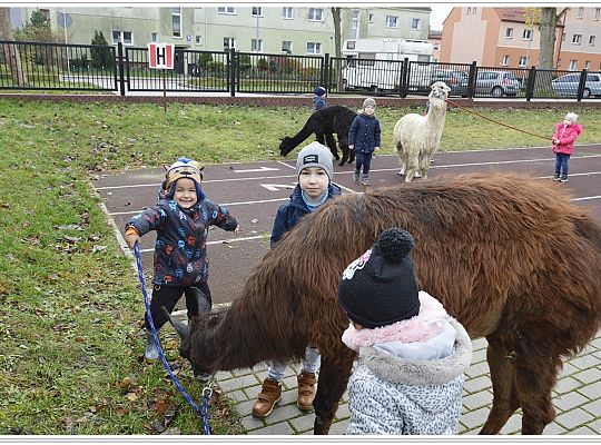 Listopad jest piękny!