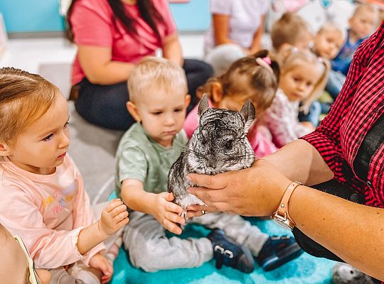 Światowy Dzień Zwierząt w Przedszkolu