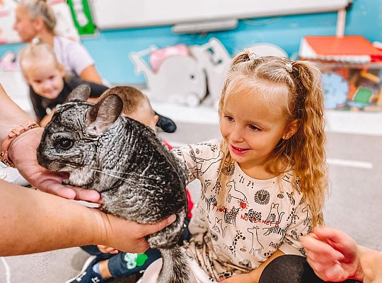 Światowy Dzień Zwierząt w Przedszkolu