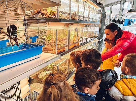 Wizyta w sklepie zoologicznym i w Bibliotece Miejskiej