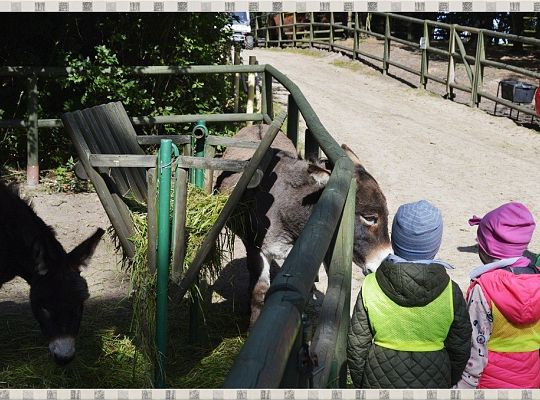 Wycieczka do Parku Dinozaurów