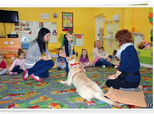 Edukacja z udziałem psa - maluszki