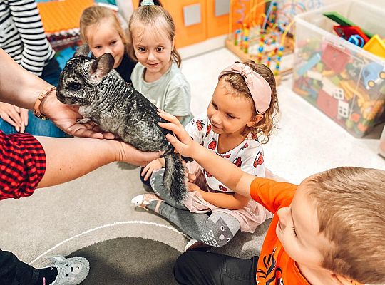 Światowy Dzień Zwierząt w Przedszkolu