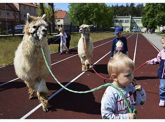 Jak nam mija piękny maj?
