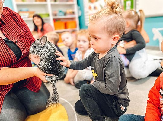 Światowy Dzień Zwierząt w Przedszkolu