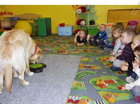 Edukacja z udziałem psa - maluszki