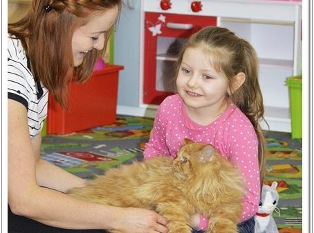 Panie, Panowie 17 lutego obchodzimy Światowy Dzień KOTA !