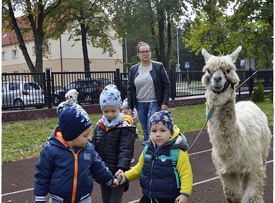 Dzien Zwierząt