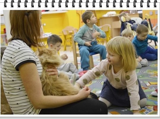 Panie, Panowie 17 lutego obchodzimy Światowy Dzień KOTA !