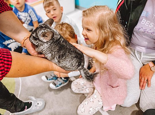 Światowy Dzień Zwierząt w Przedszkolu