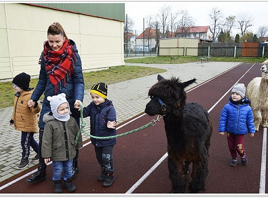 Listopad jest piękny!