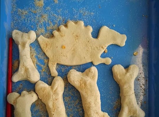 Dzień dinozaura.