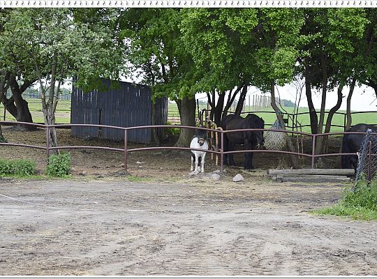 Wycieczka do Runowa.