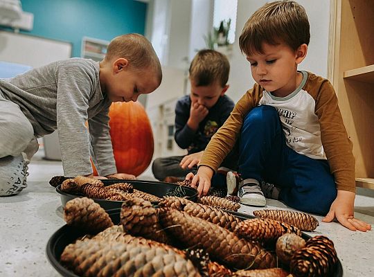 Ogólnopolski Projekt Ekologiczny "Ekoludek"