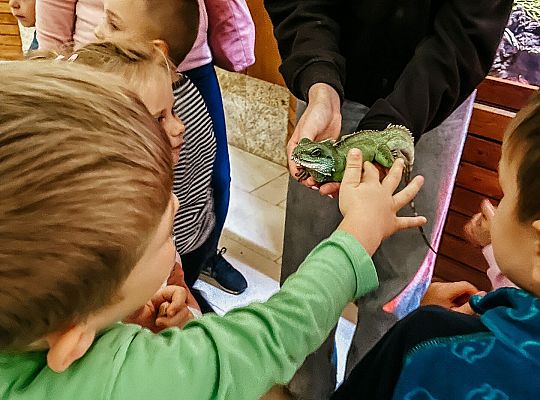 Dzień Przedszkolaka